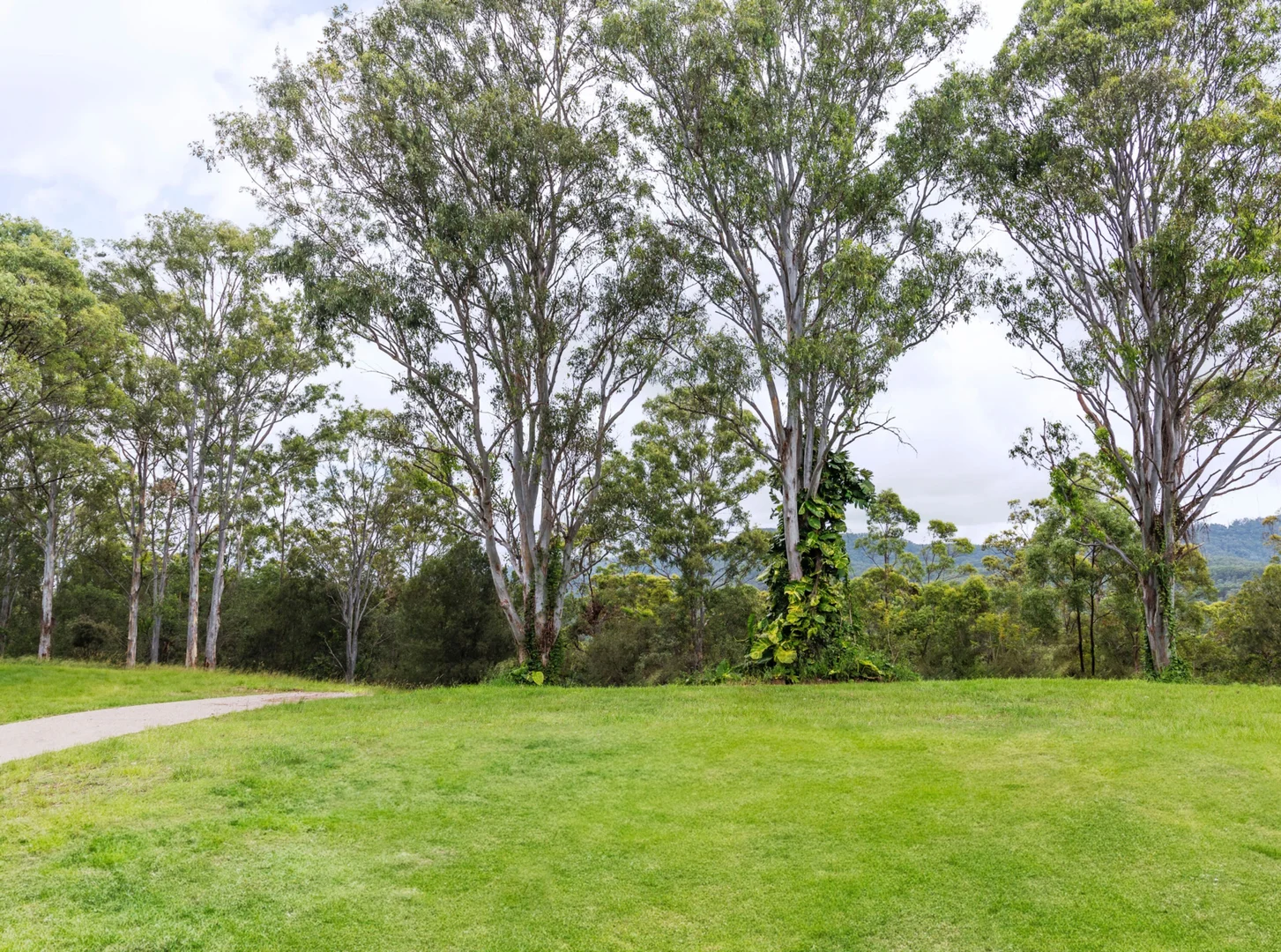 Additional image 26 of 36 Rosemount Dve, Willow Vale QLD 4209