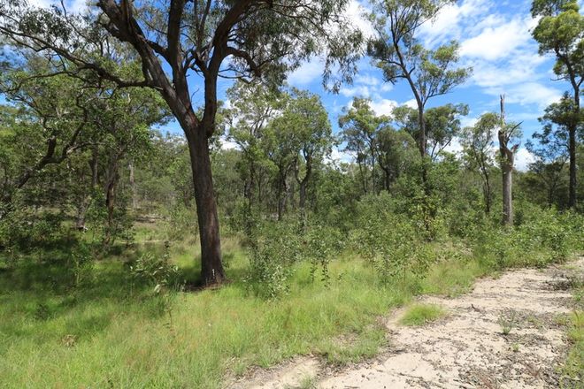 Picture of Lot 1 Buxton road, ISIS RIVER QLD 4660