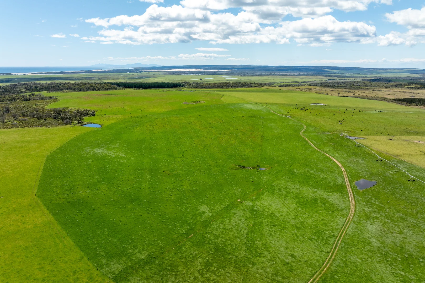 Additional image 5 of . Waterhouse Road, Boobyalla TAS 7264