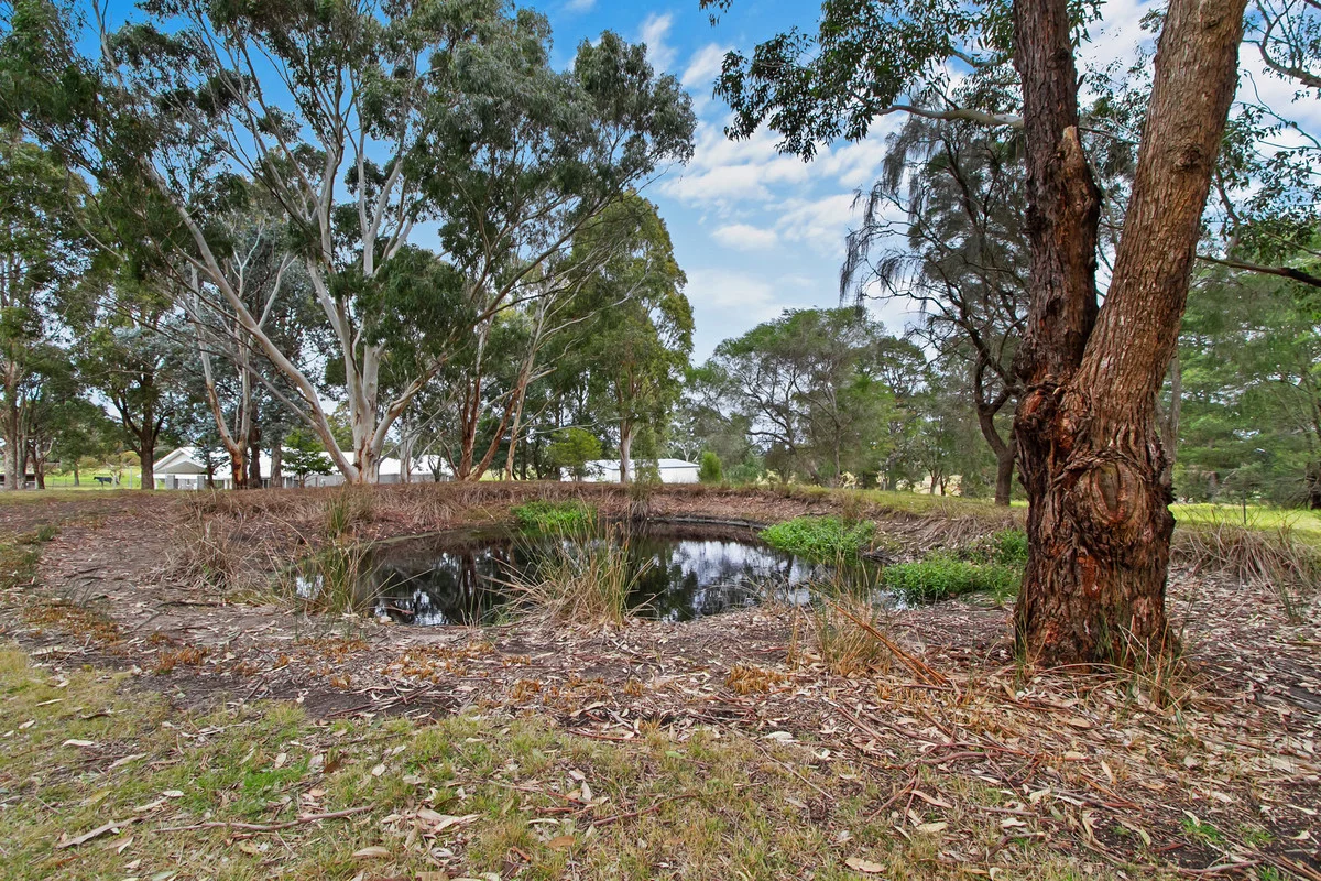 Image 25