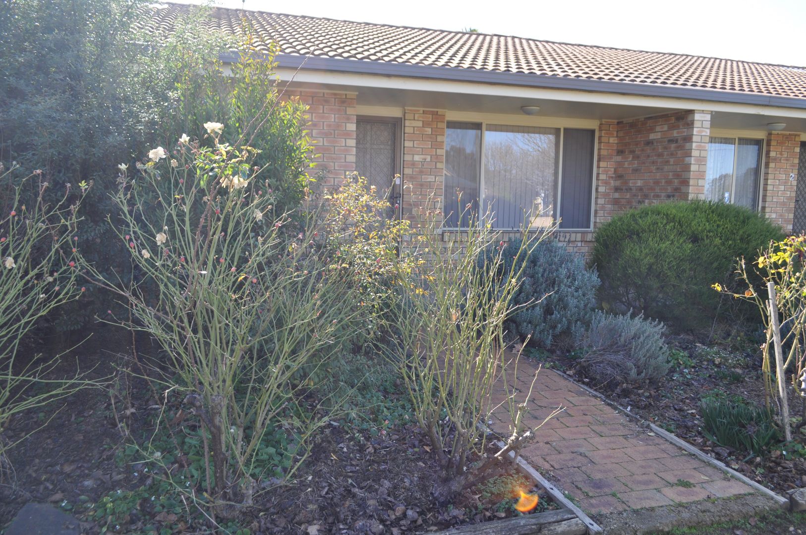 7/97 Sutton Street, Cootamundra NSW 2590, Image 1