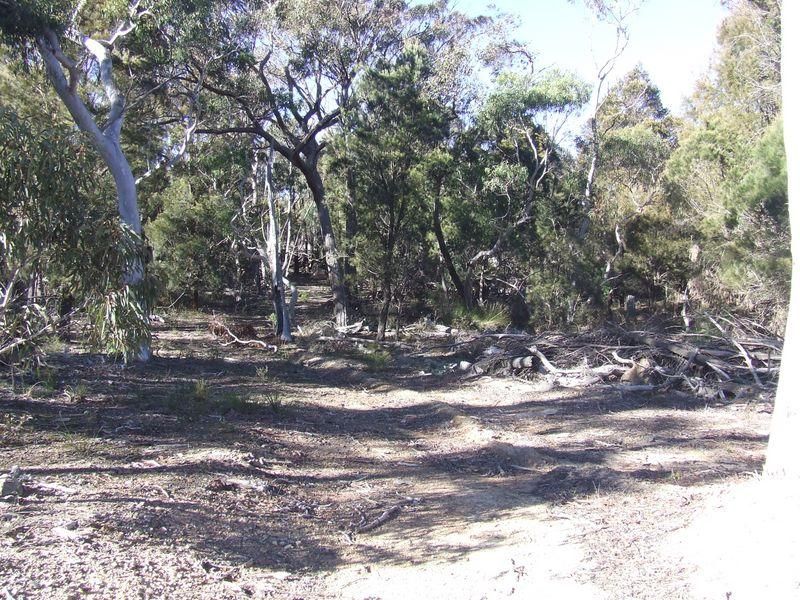 962 Cullulla Road, TARAGO NSW 2580, Image 1