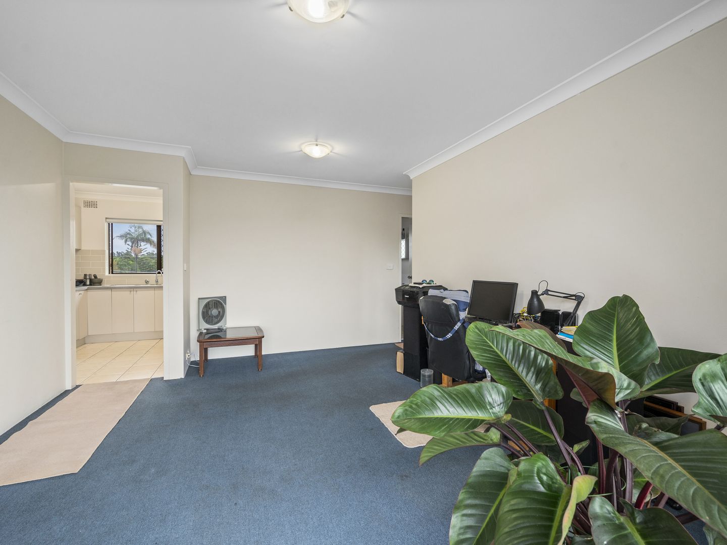 9/46 Prince Street, Coffs Harbour NSW 2450 Domain