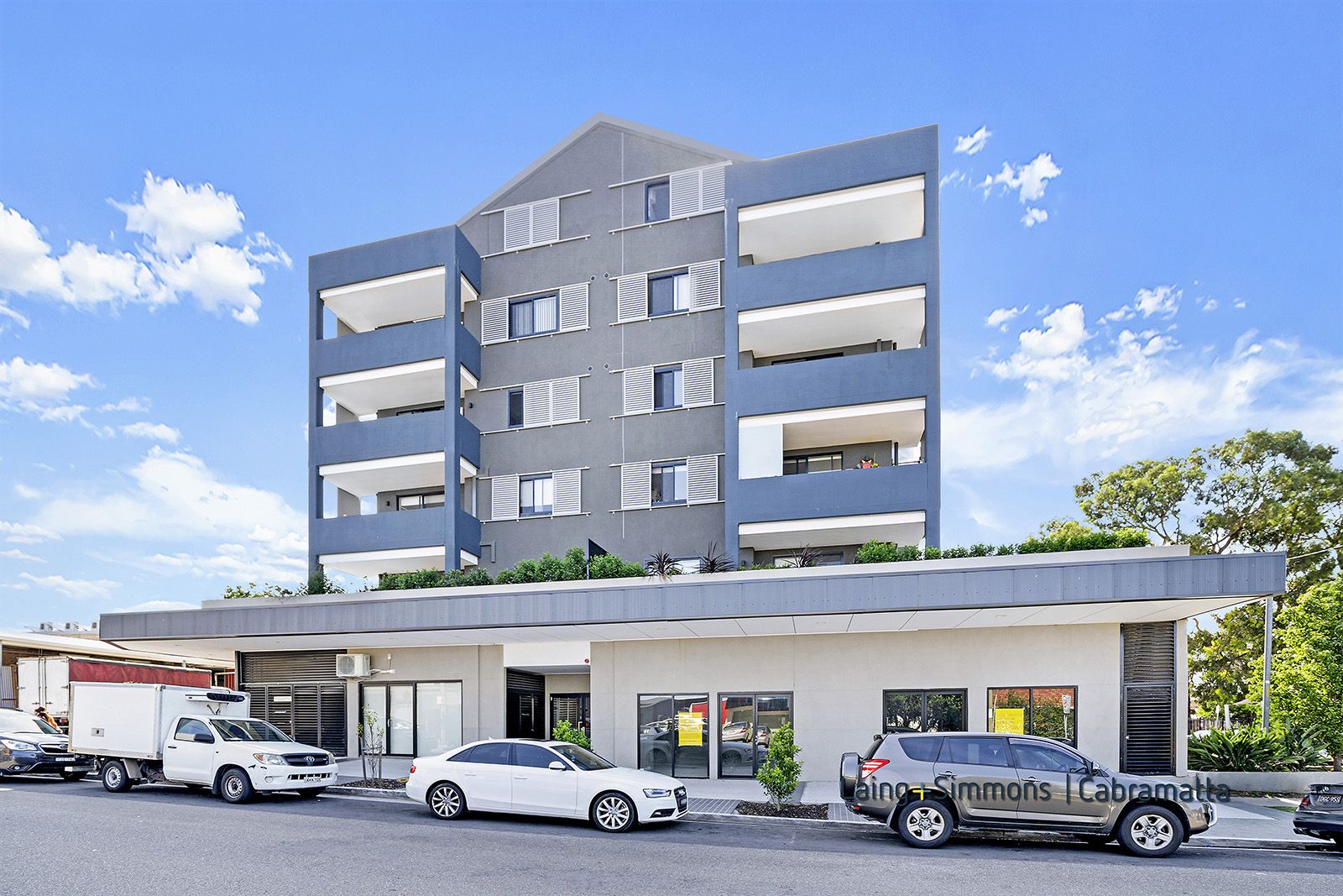 308/45-47 Peel Street, Canley Heights NSW 2166, Image 1