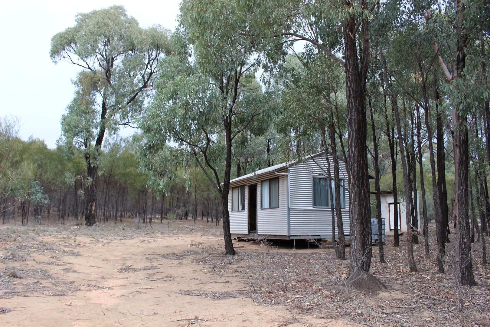 189 Barbigal St, Elong Elong NSW 2831 House for Sale 245,000