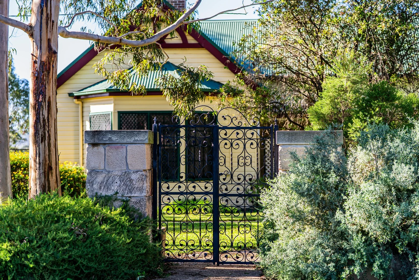 Image 1