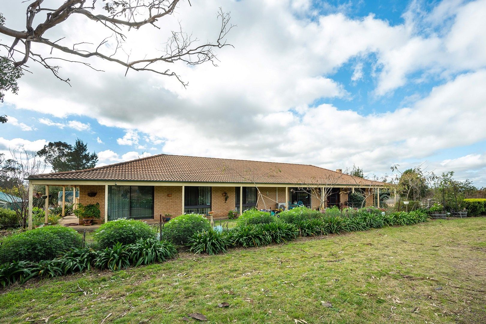 234 Laheys Creek Road, Gulgong NSW 2852, Image 0