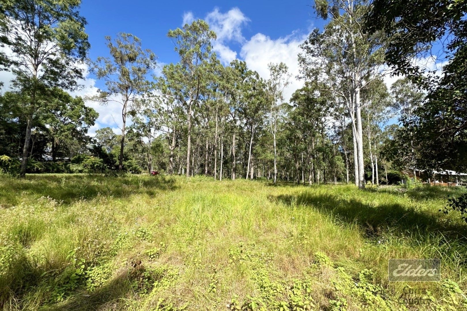 Lot 249 Arborthree Road, Glenwood QLD 4570, Image 0