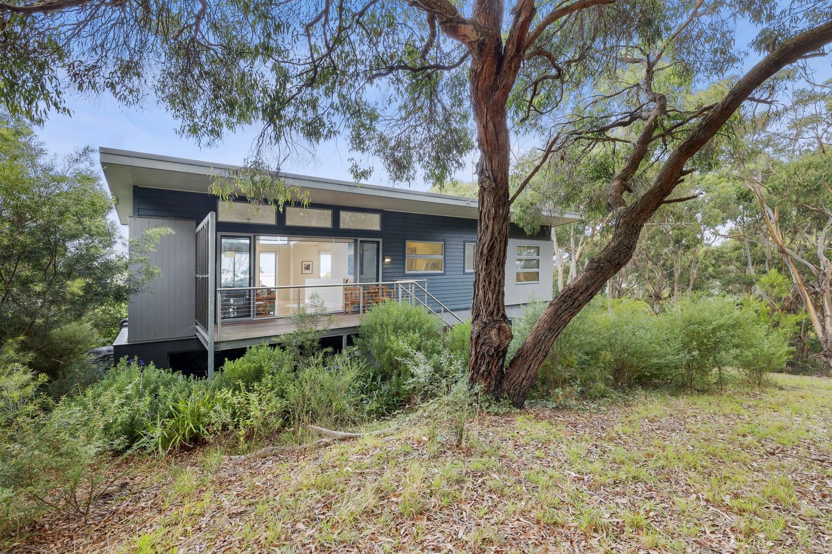 41 Dorman Street, Lorne VIC 3232, Image 1