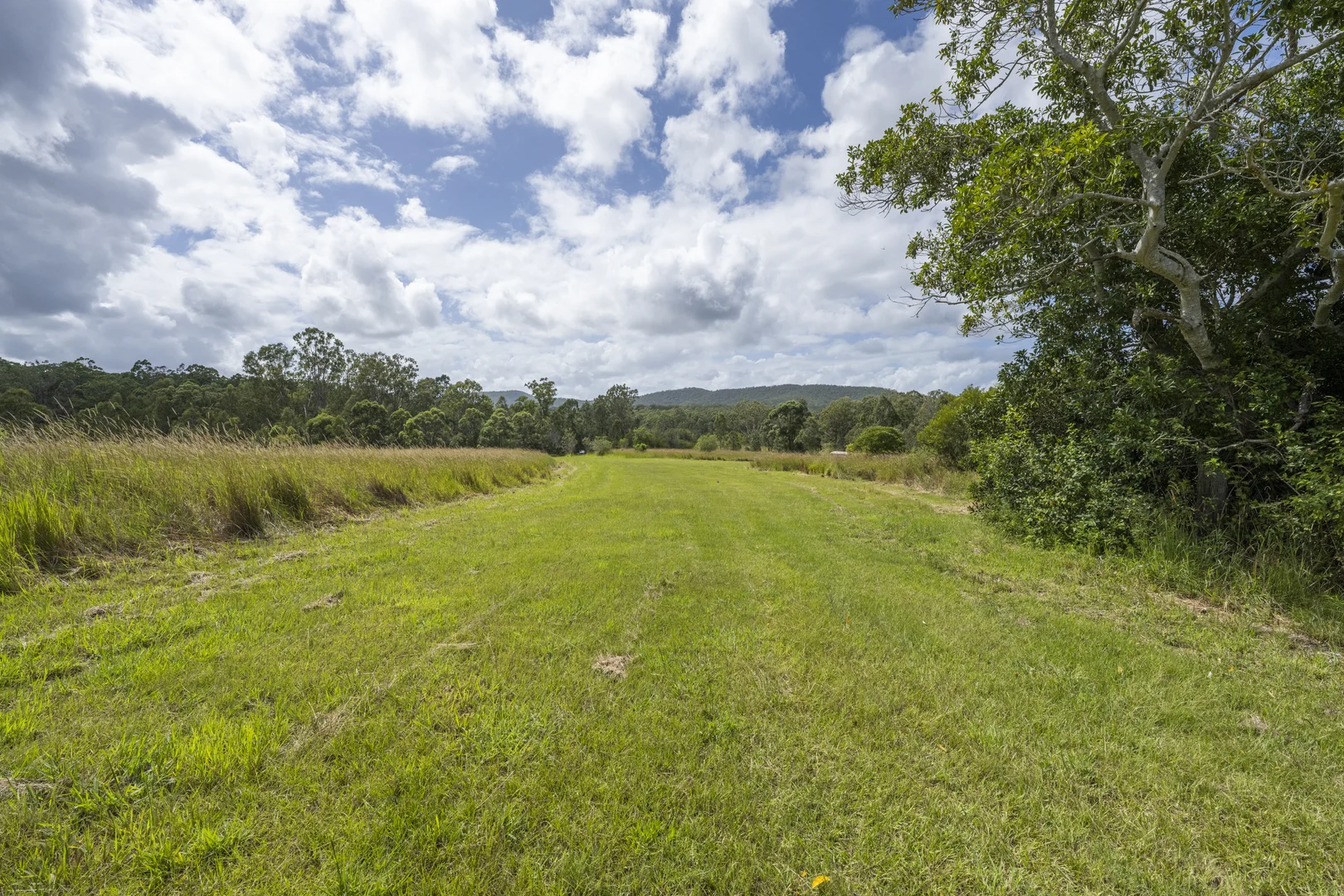 Additional image 17 of 800 Firth Heinz Road, Pillar Valley NSW 2462