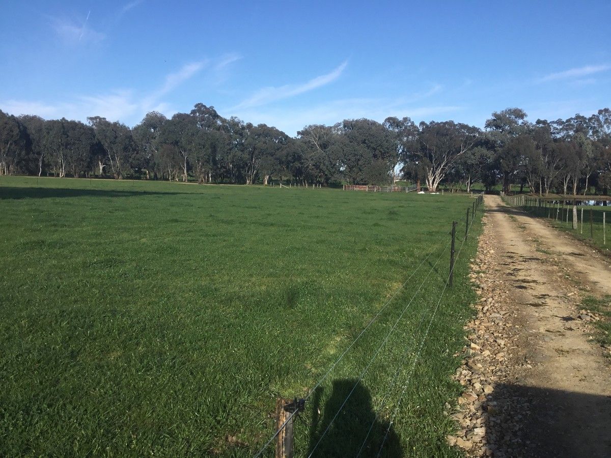 2 Moyhu -Meadow Creek Road, Meadow Creek VIC 3678, Image 0