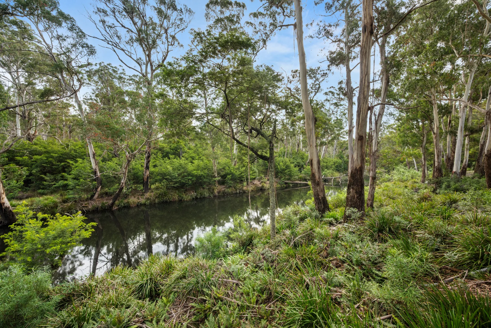 Additional image 21 of 497 Northangera Road, Braidwood NSW 2622