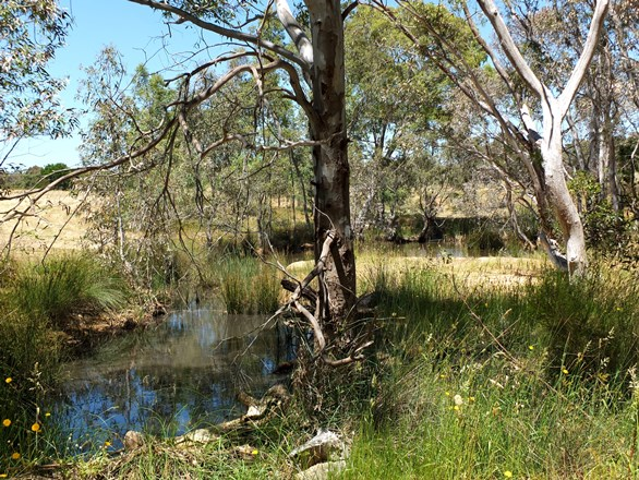 1321 Waubra-Talbot Road, Evansford VIC 3371