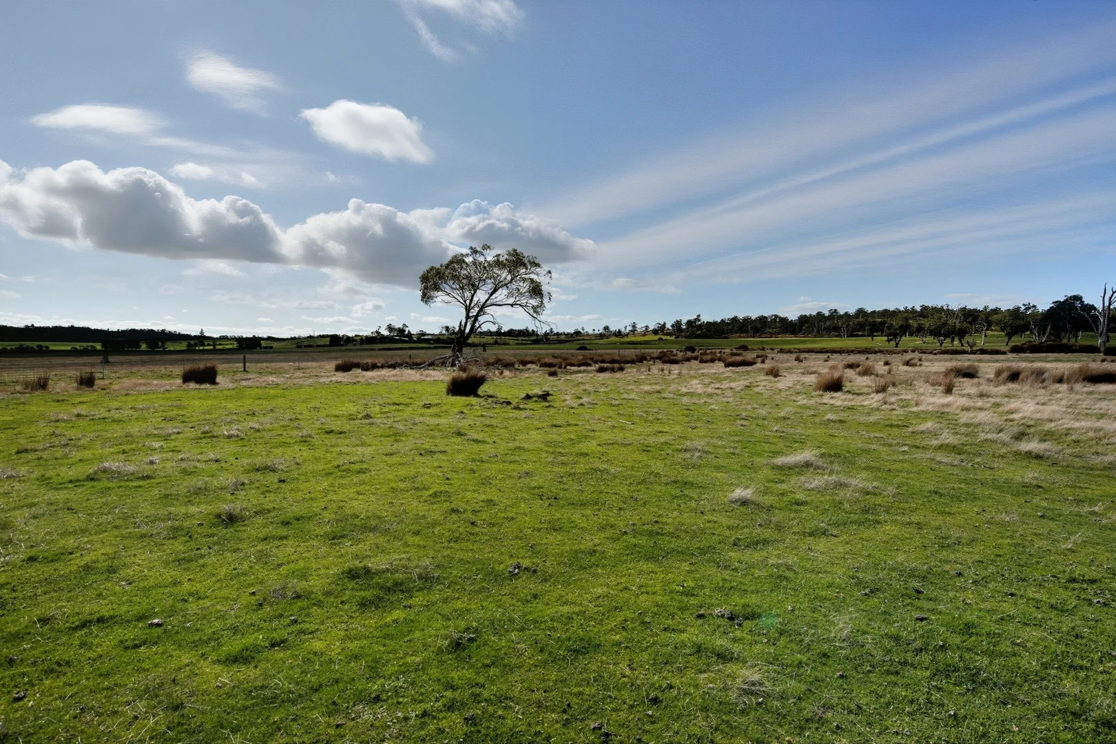 Image 33