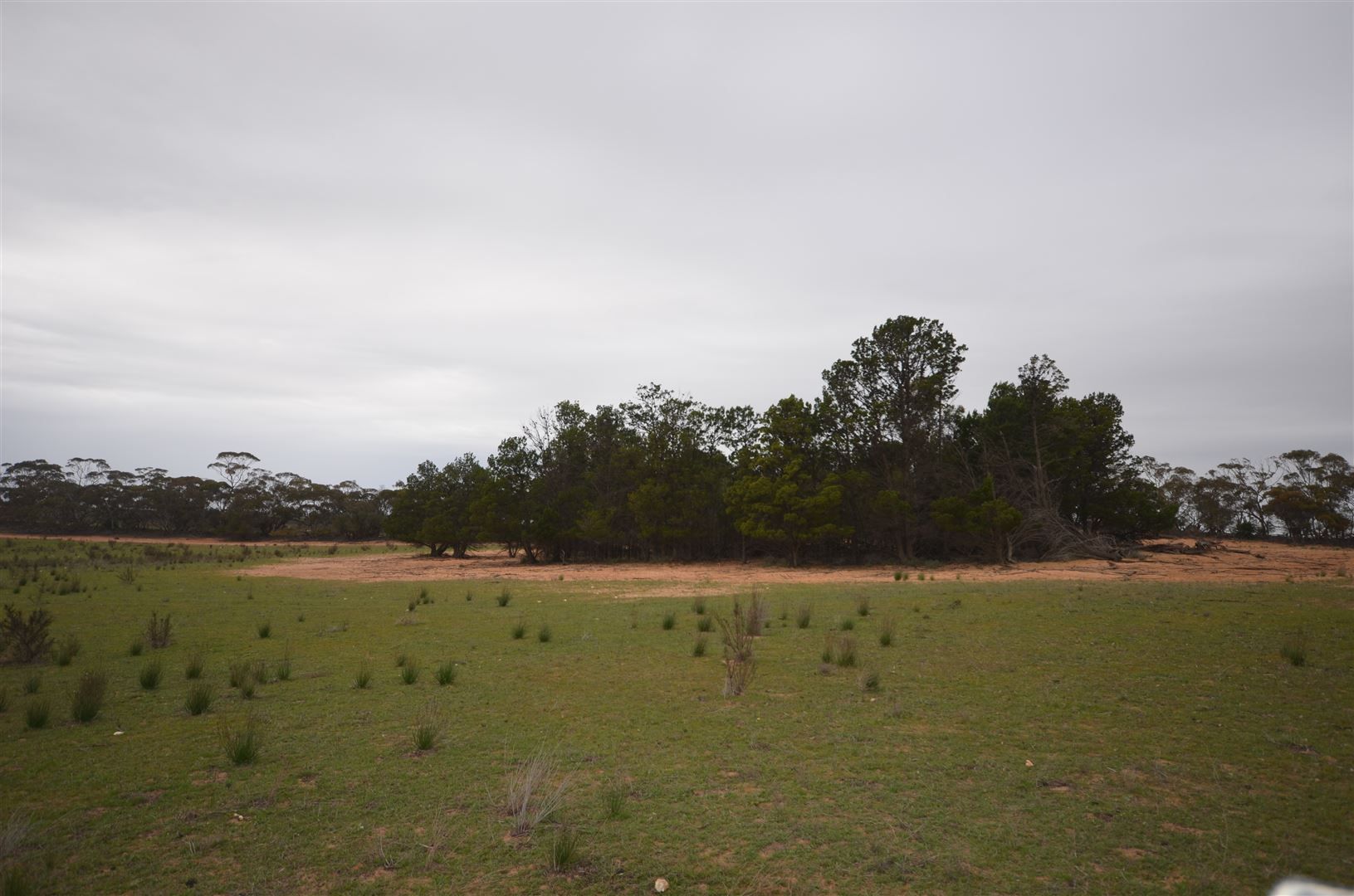 Sec 177 Black Hill Road, Black Hill SA 5353 Farm for Sale Domain