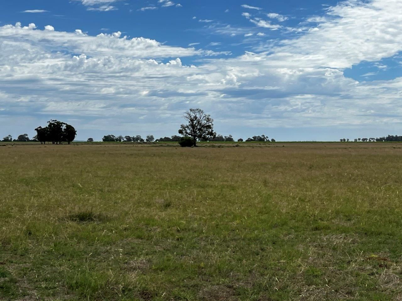 Lot 1 & 2 Mount Terricks Road (Roslynmead) Road, Echuca VIC 3564, Image 2