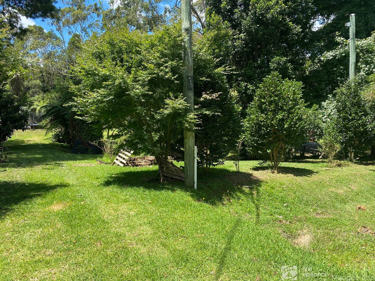 2281 Springbrook Road, Springbrook QLD 4213 Domain