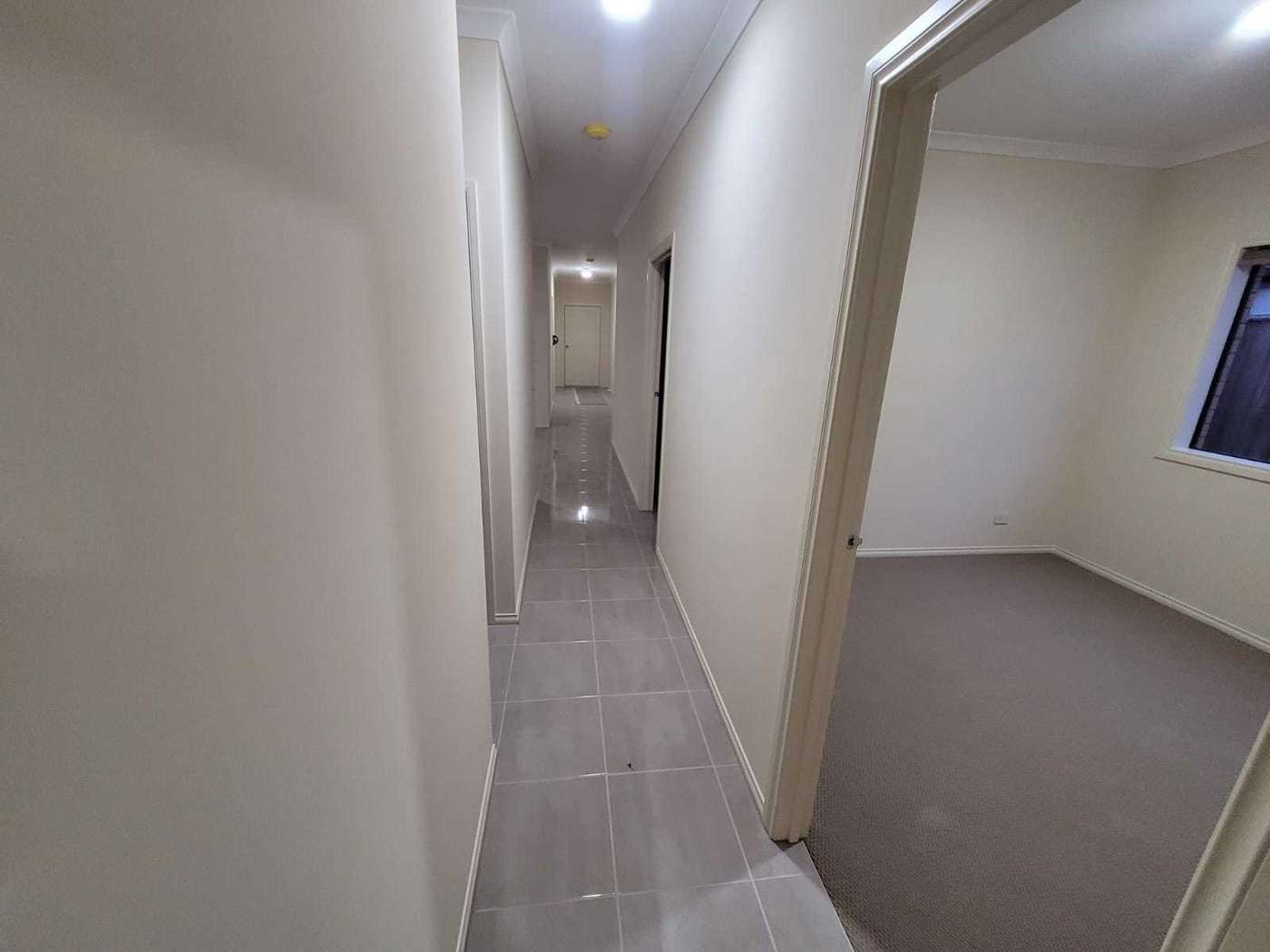 56 Ceduna Road, Clyde North VIC 3978 House For Rent Domain