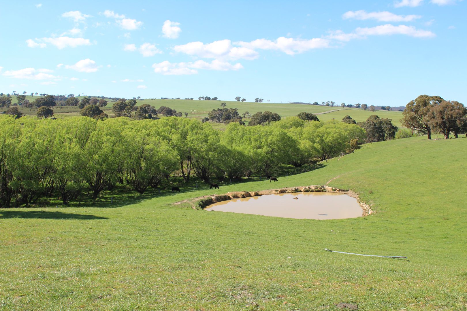 2641 Burraga Road, Burraga NSW 2795, Image 1