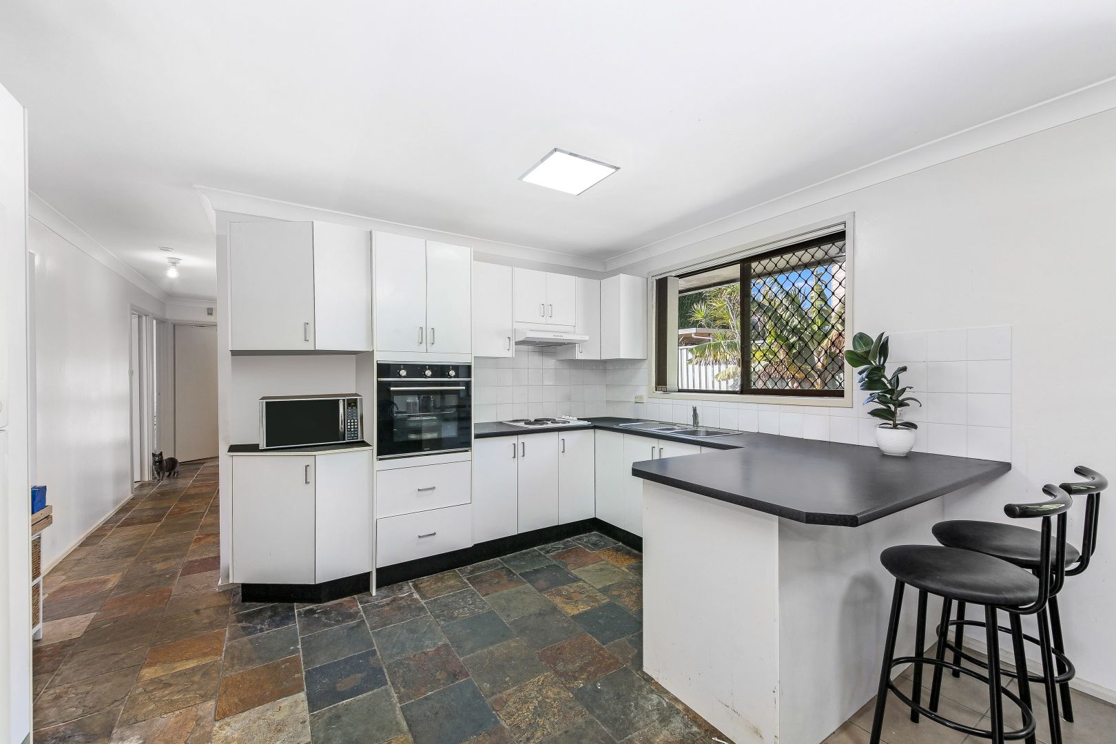 3/60 Olive Street, Condell Park NSW 2200, Image 2