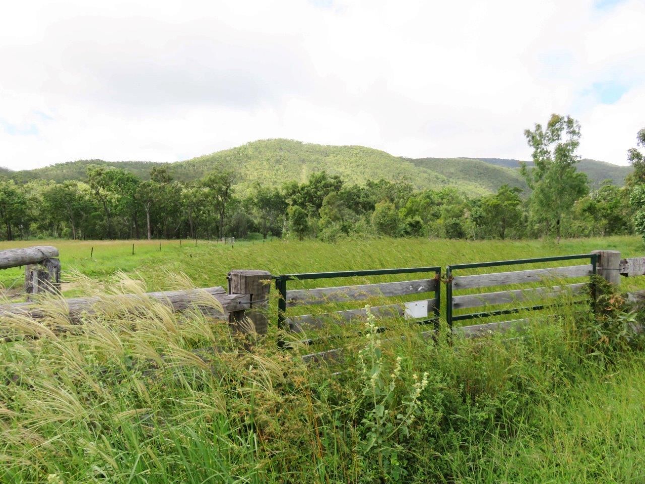 Lot 37 Oaky Valley Ave, Mutchilba QLD 4872, Image 0