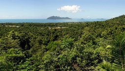 Picture of Lot 66 Mission Circle, WONGALING BEACH QLD 4852