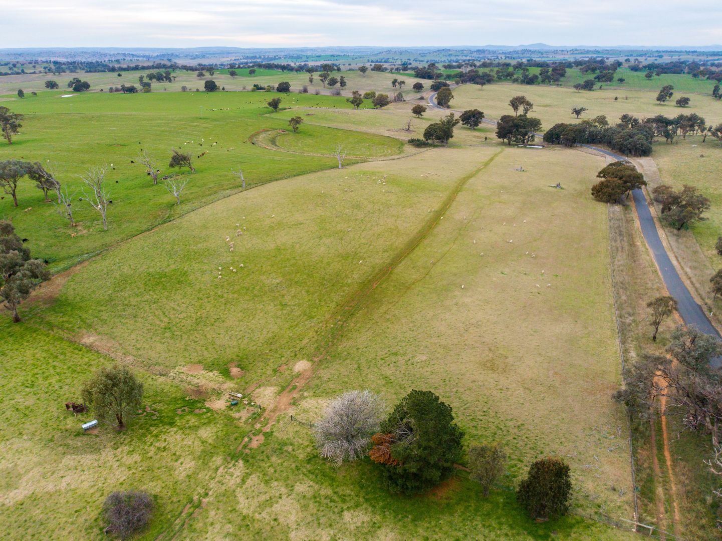 736 Cullinga Mines Road, Harden NSW 2587, Image 2