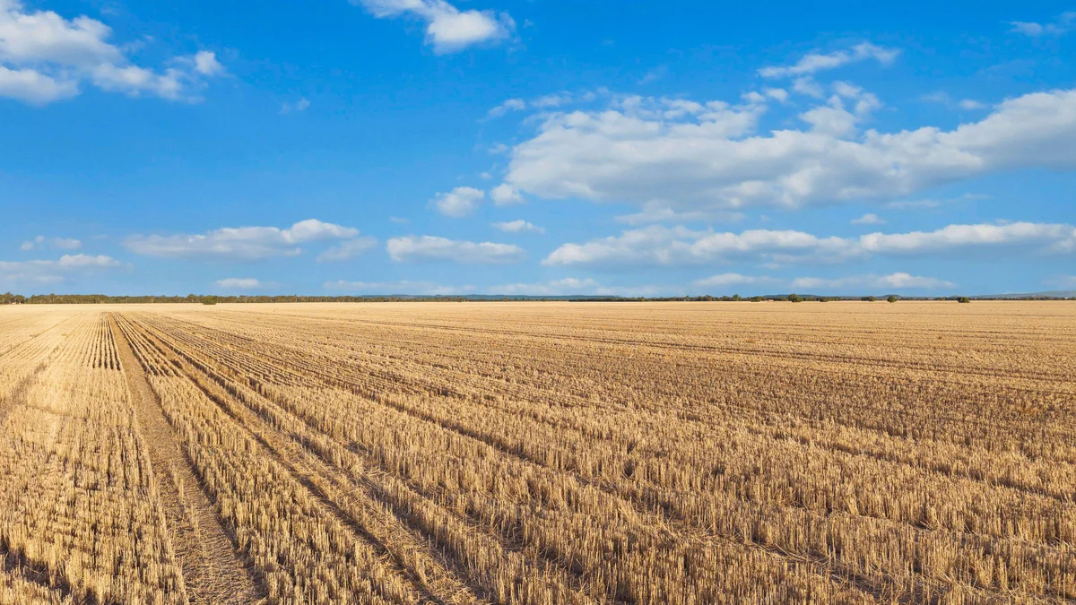Additional image 15 of 'Trenayr' & 'Nanima' 2022 Terry Hie Hie Road, Moree NSW 2400