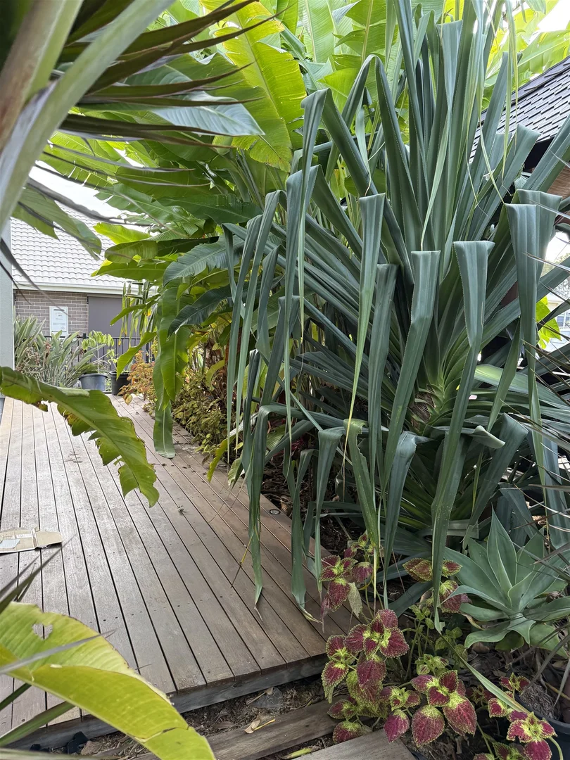 Additional image 11 of Shailer Park QLD 4128