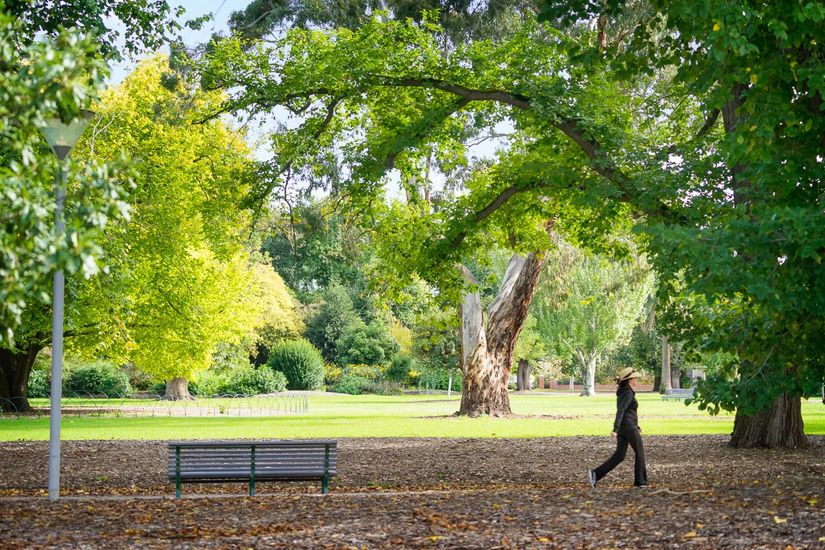 Additional image 12 of 1/42 Scott Grove, Glen Iris VIC 3146