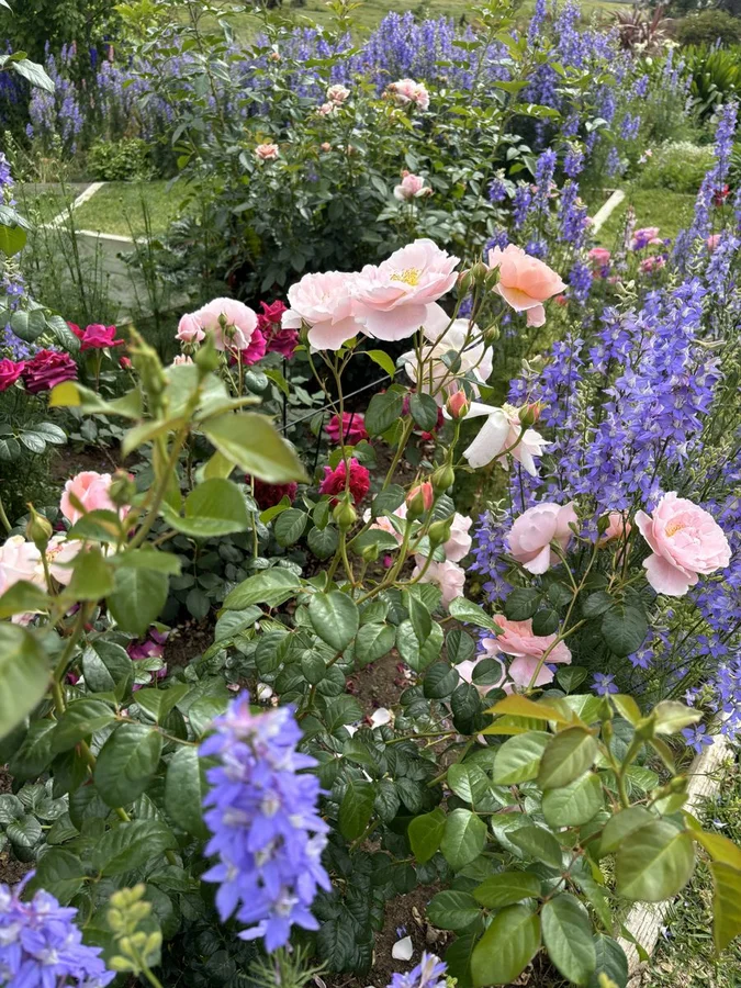 Image 17