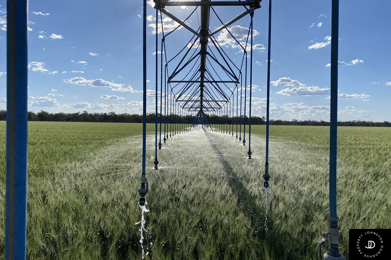 Additional image 17 of 113 Kilphysic Road, Carroll NSW 2340