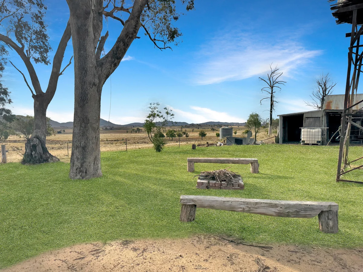 Additional image 15 of "Available Now" In, Kelvin NSW 2380