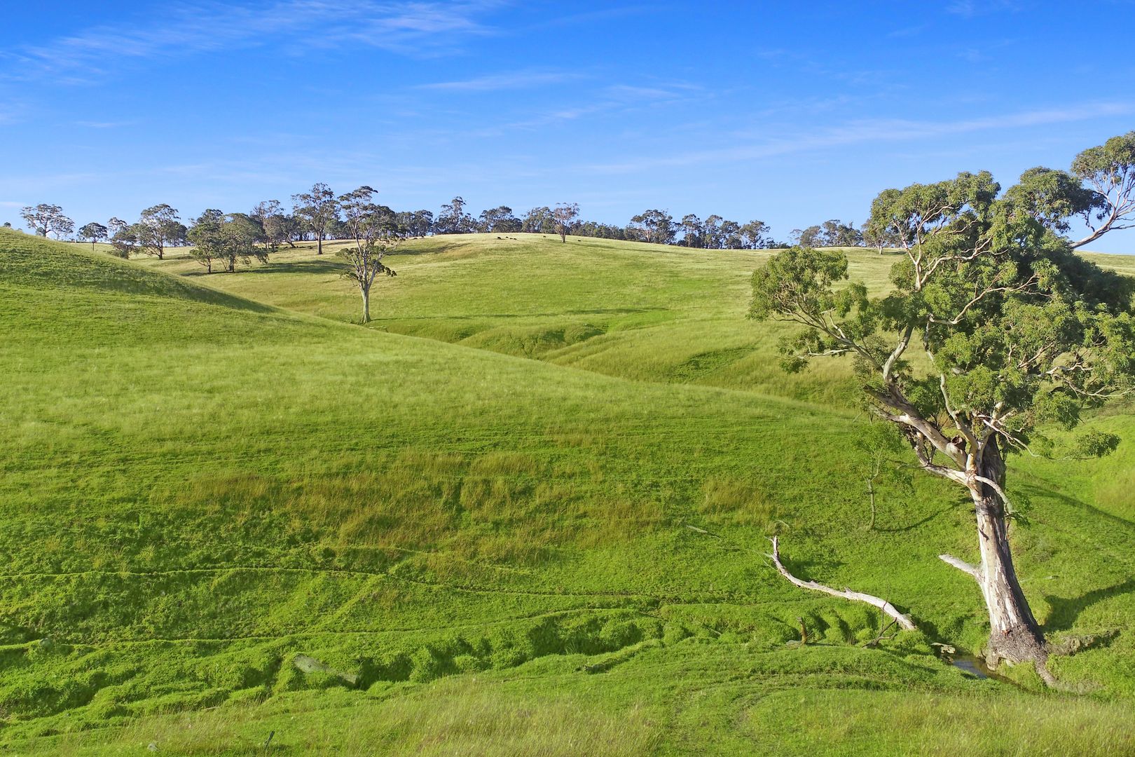 Lot 3 Licola Road, Glenmaggie VIC 3858, Image 2