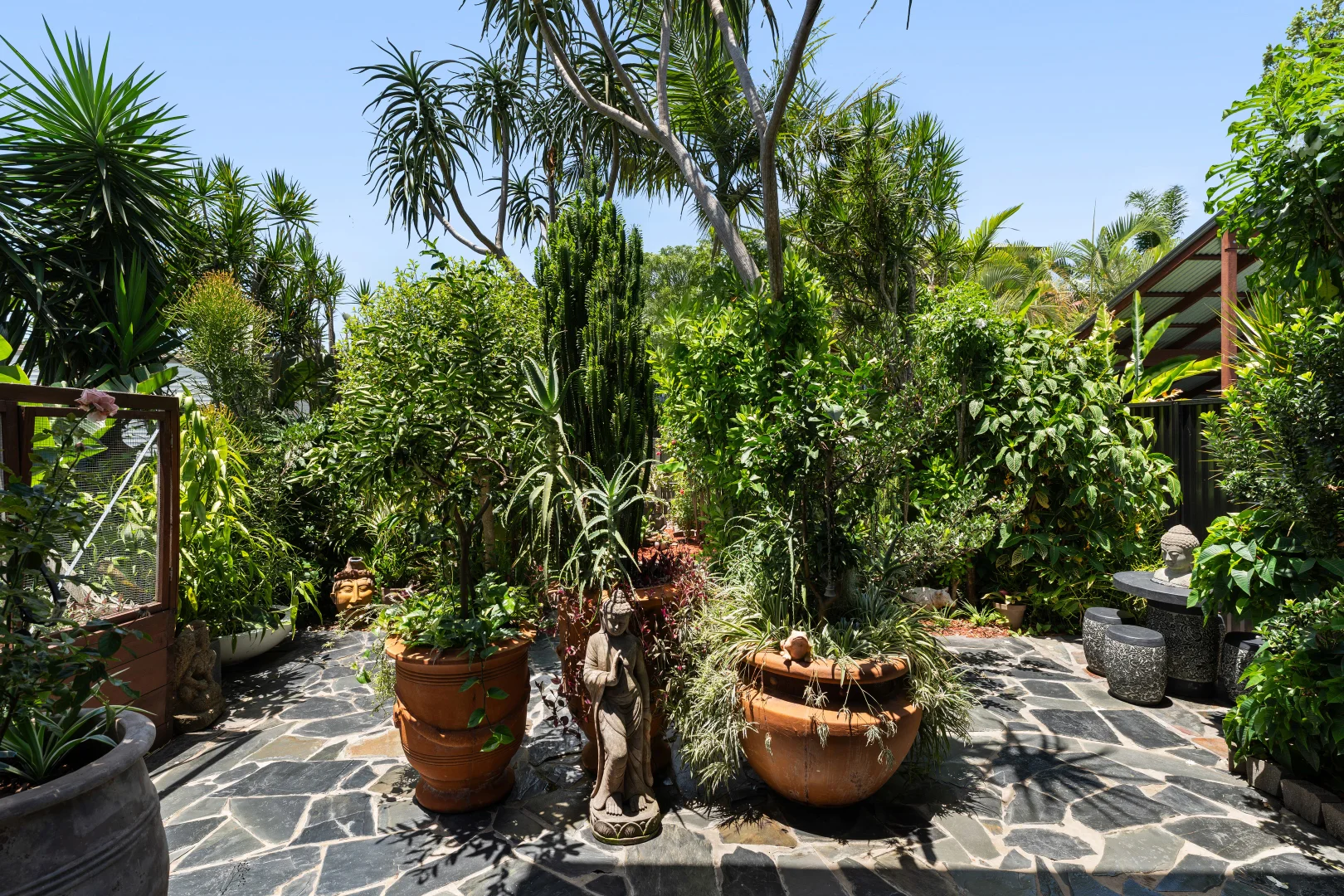 Additional image 14 of 84 Cavendish Road, Coorparoo QLD 4151