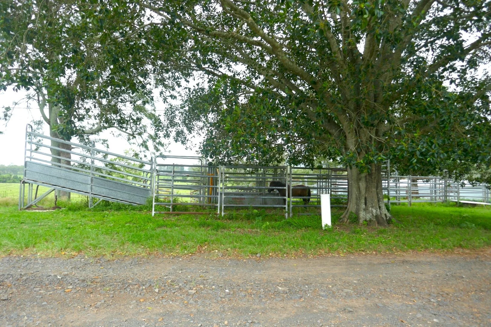 Image 26