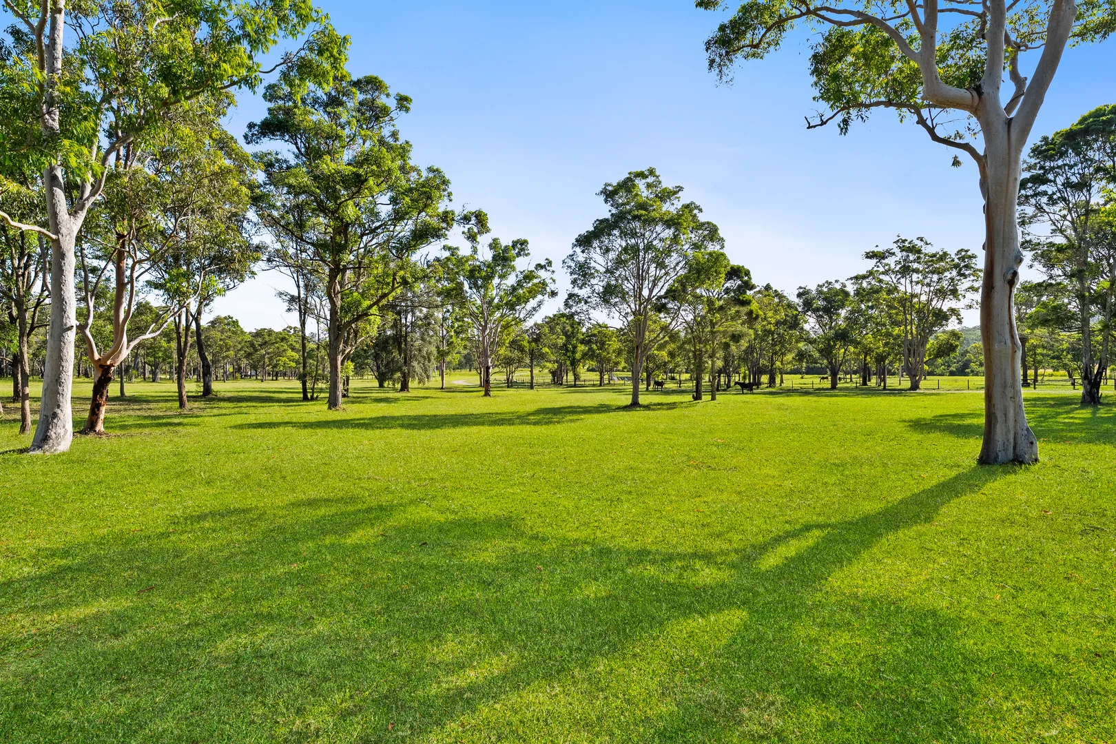 Additional image 7 of 10A Cottesloe Road, Jilliby NSW 2259