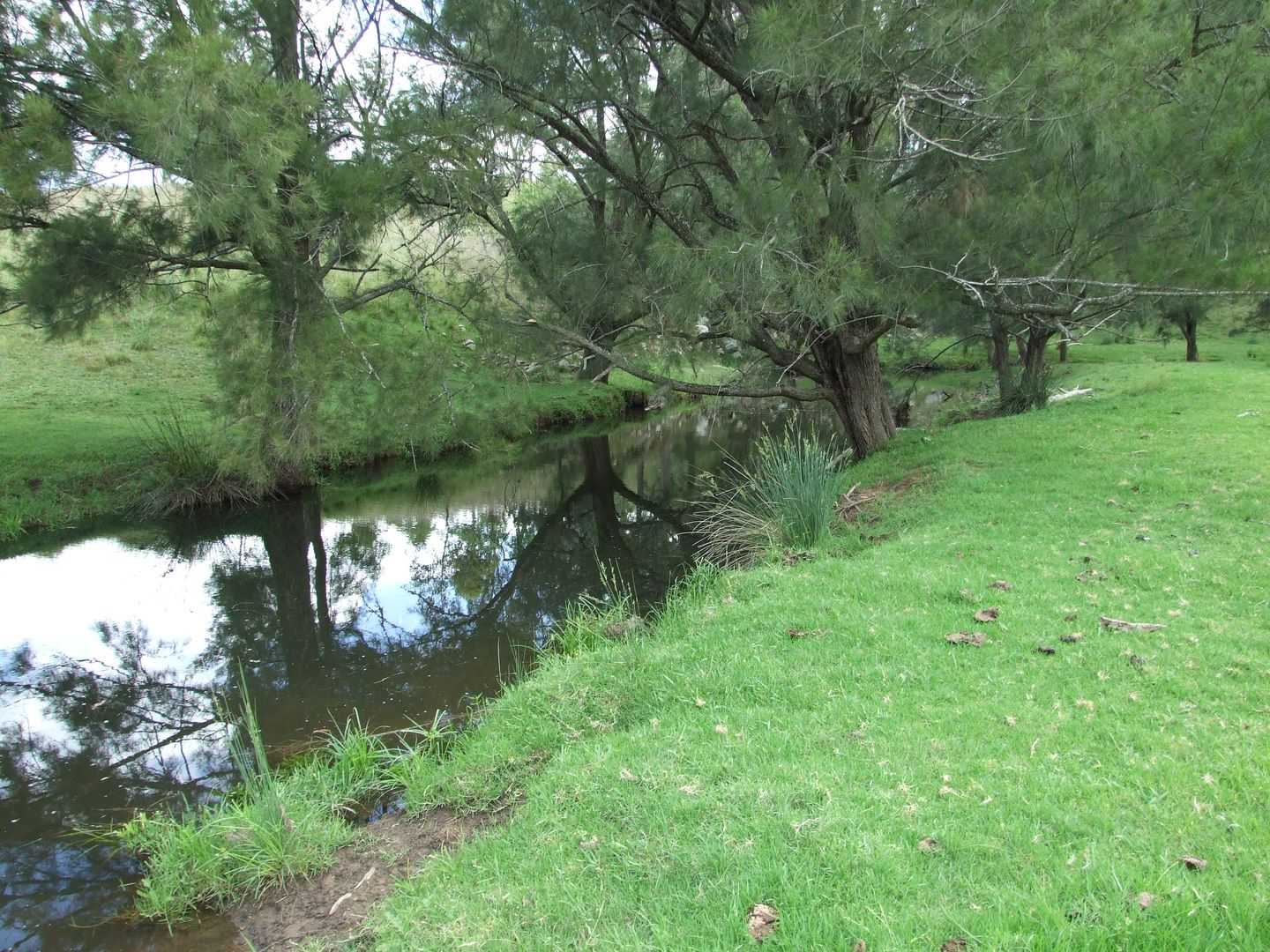 LOT 4/234 Goorangoola Creek Road, Singleton NSW 2330, Image 1