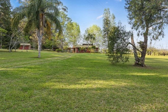 Picture of 810 Bucca Road, BUCCA NSW 2450