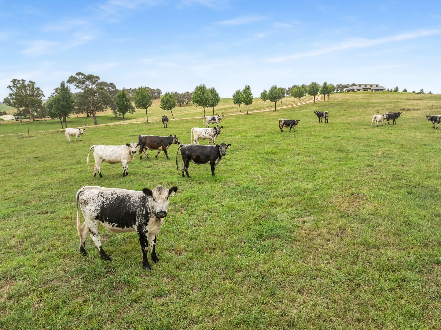 Additional image 20 of 500 Portland Sunny Corner Road, Portland NSW 2847