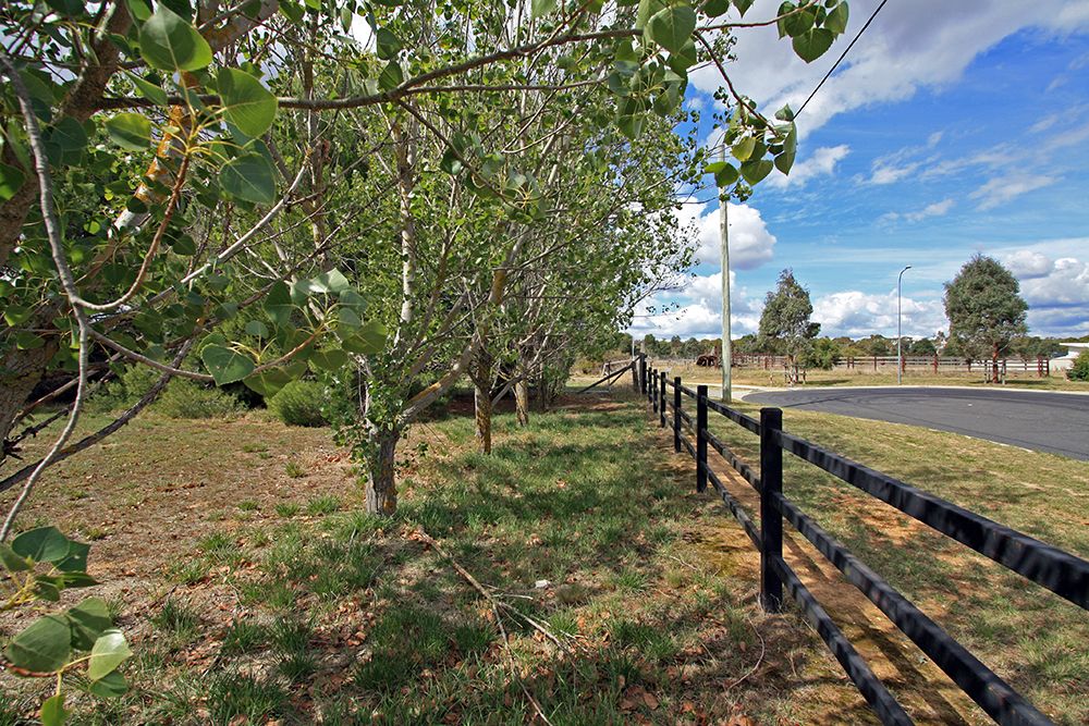 85 Trucking Yard Lane, Bungendore NSW 2621, Image 1