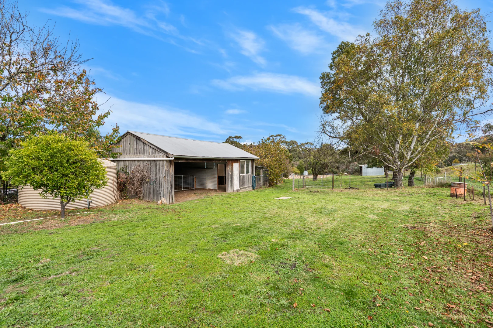 Image 10