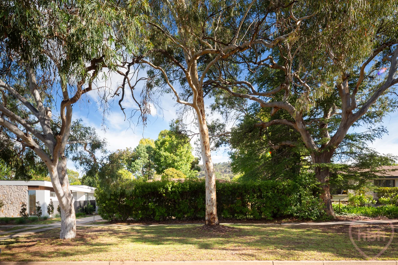 Additional image 22 of 102 MacFarland Crescent, Pearce ACT 2607