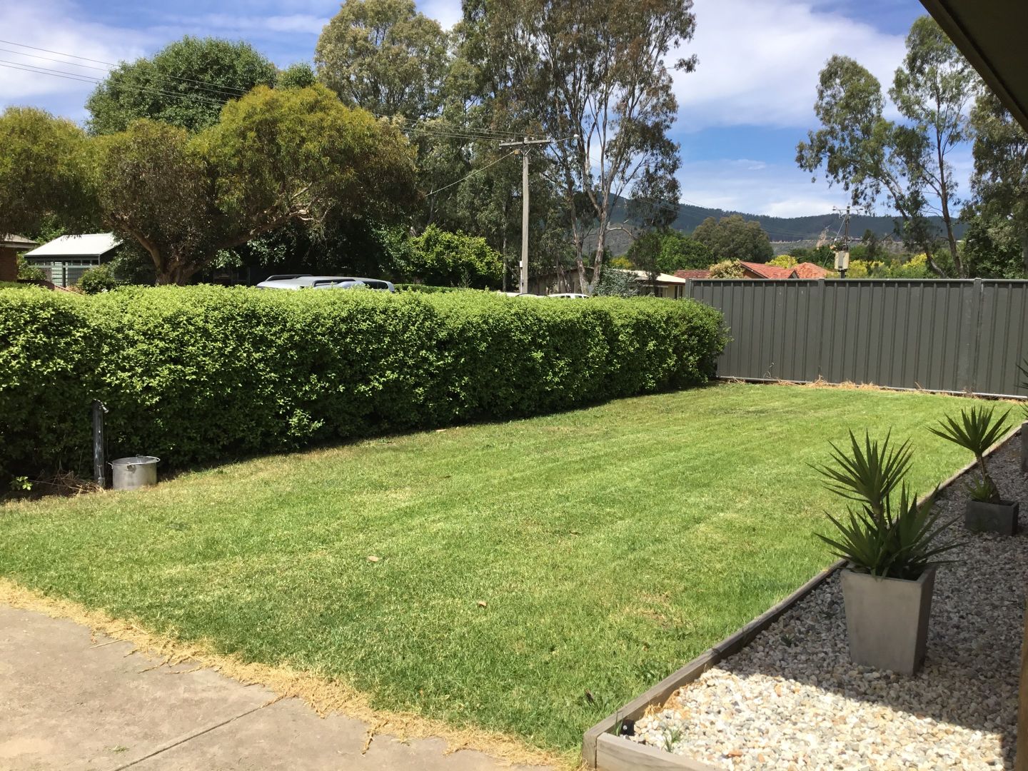 31 Williams Street, Myrtleford VIC 3737 House For Rent Domain