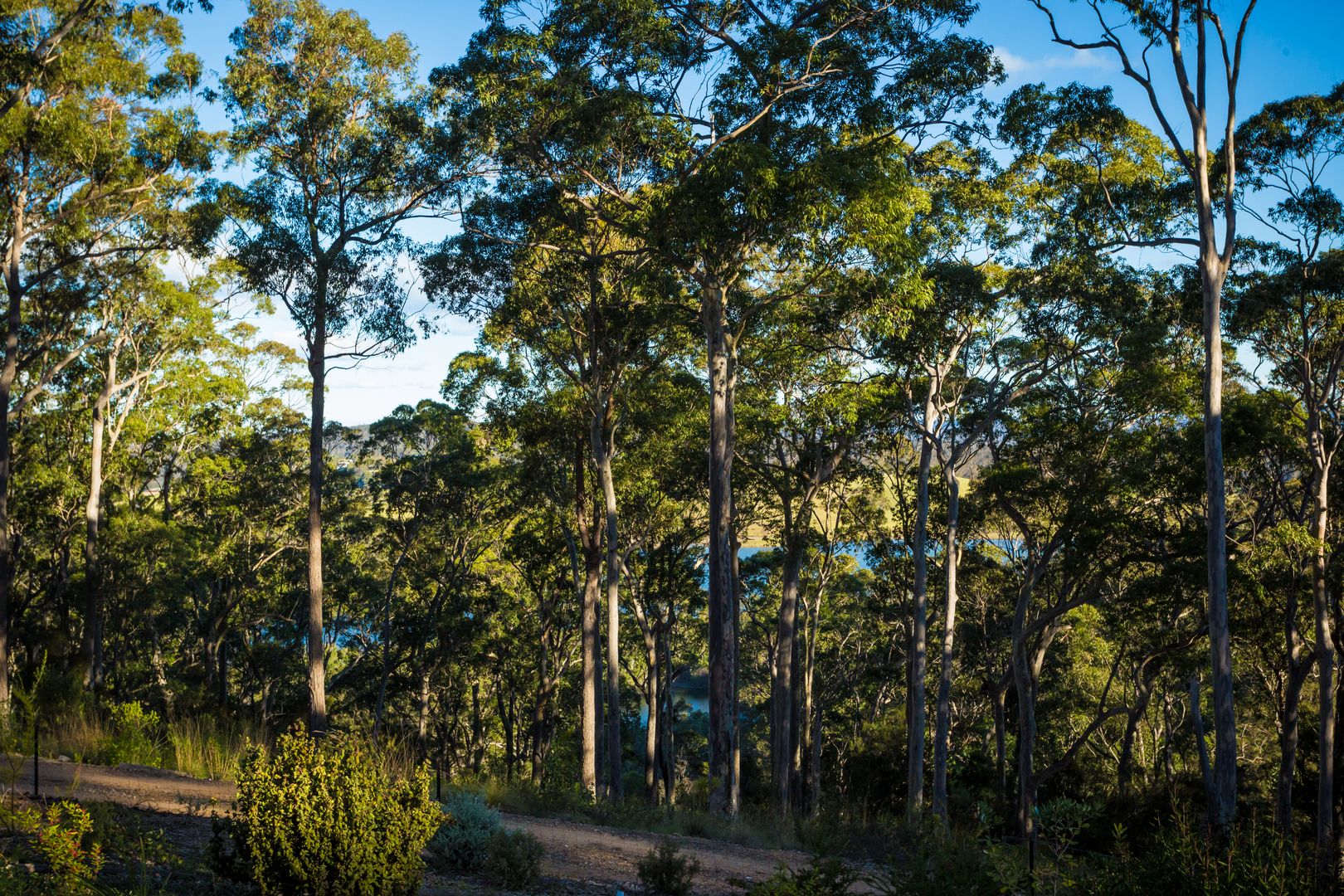 91 Goats Knob Road, Tathra NSW 2550, Image 2