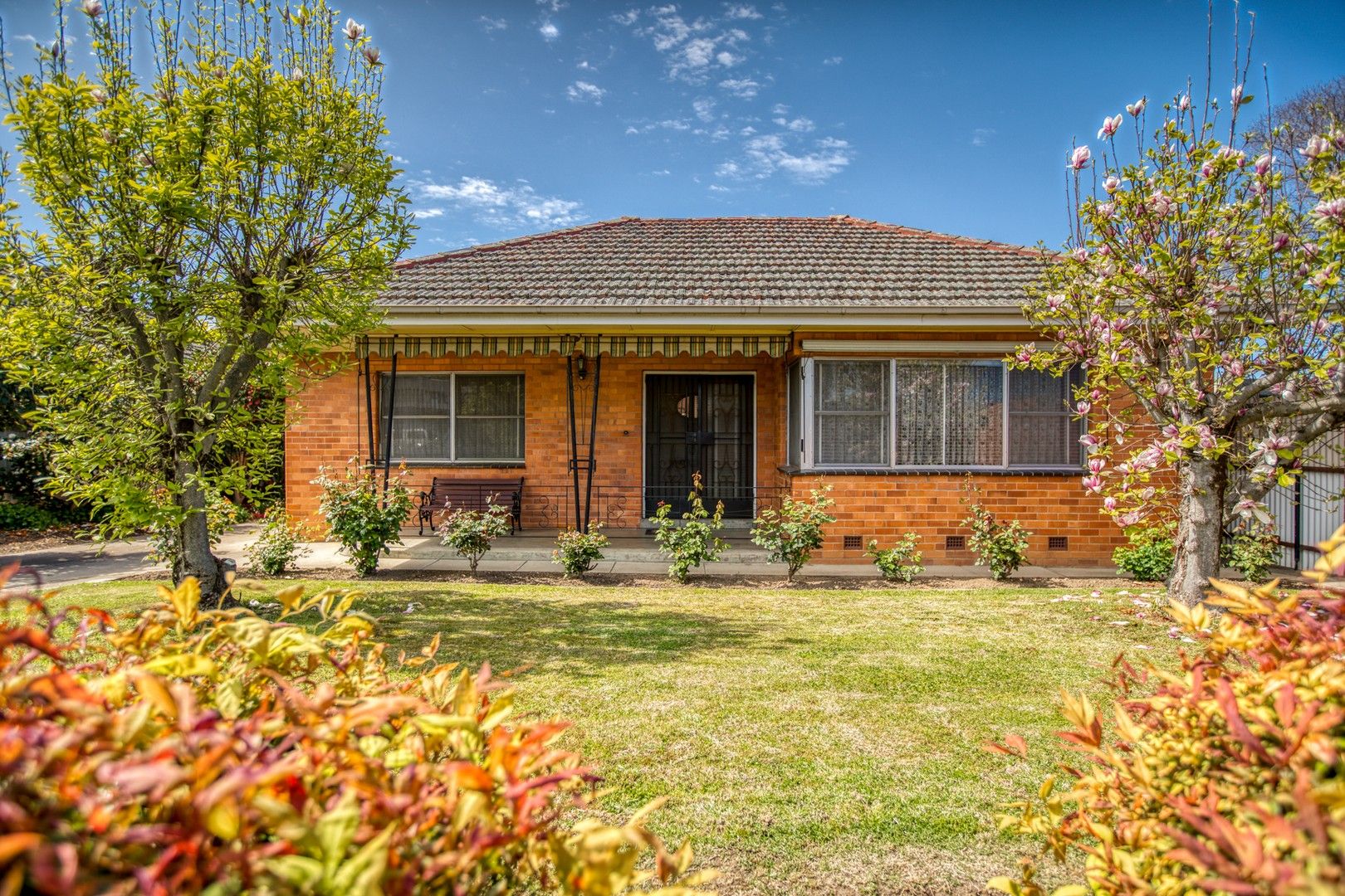 774 Mate Street, North Albury NSW 2640, Image 0