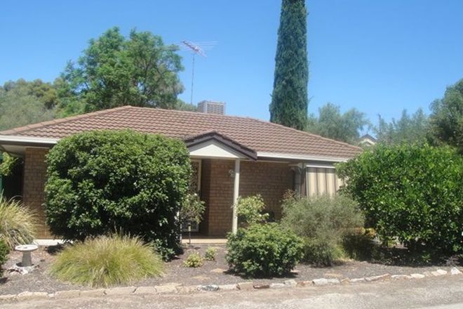 Picture of 3/6 Wright Street, GAWLER SA 5118