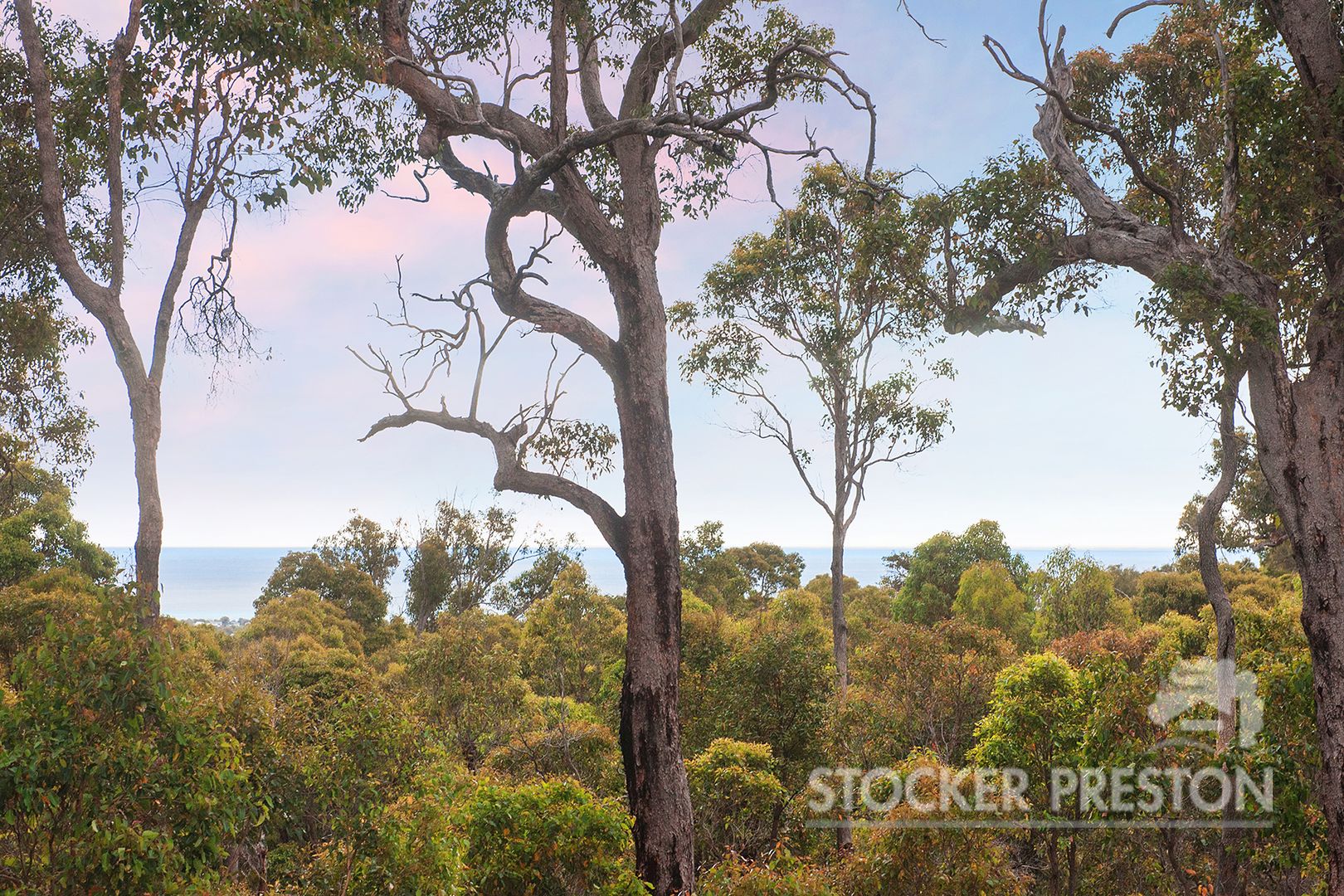 39 Big Rock Place, Quedjinup WA 6281, Image 1