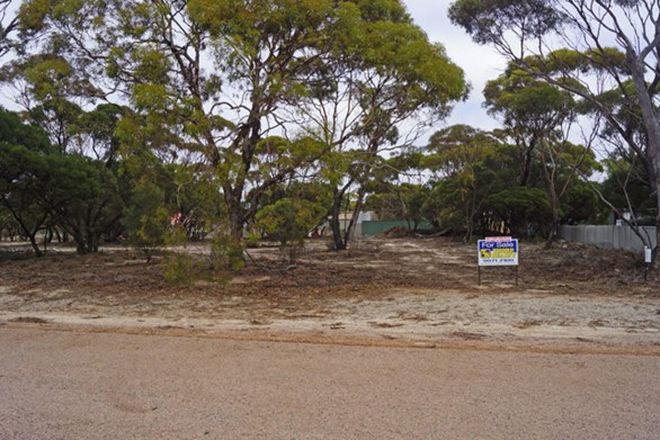 Picture of Lot 77 Dunn Street, SALMON GUMS WA 6445