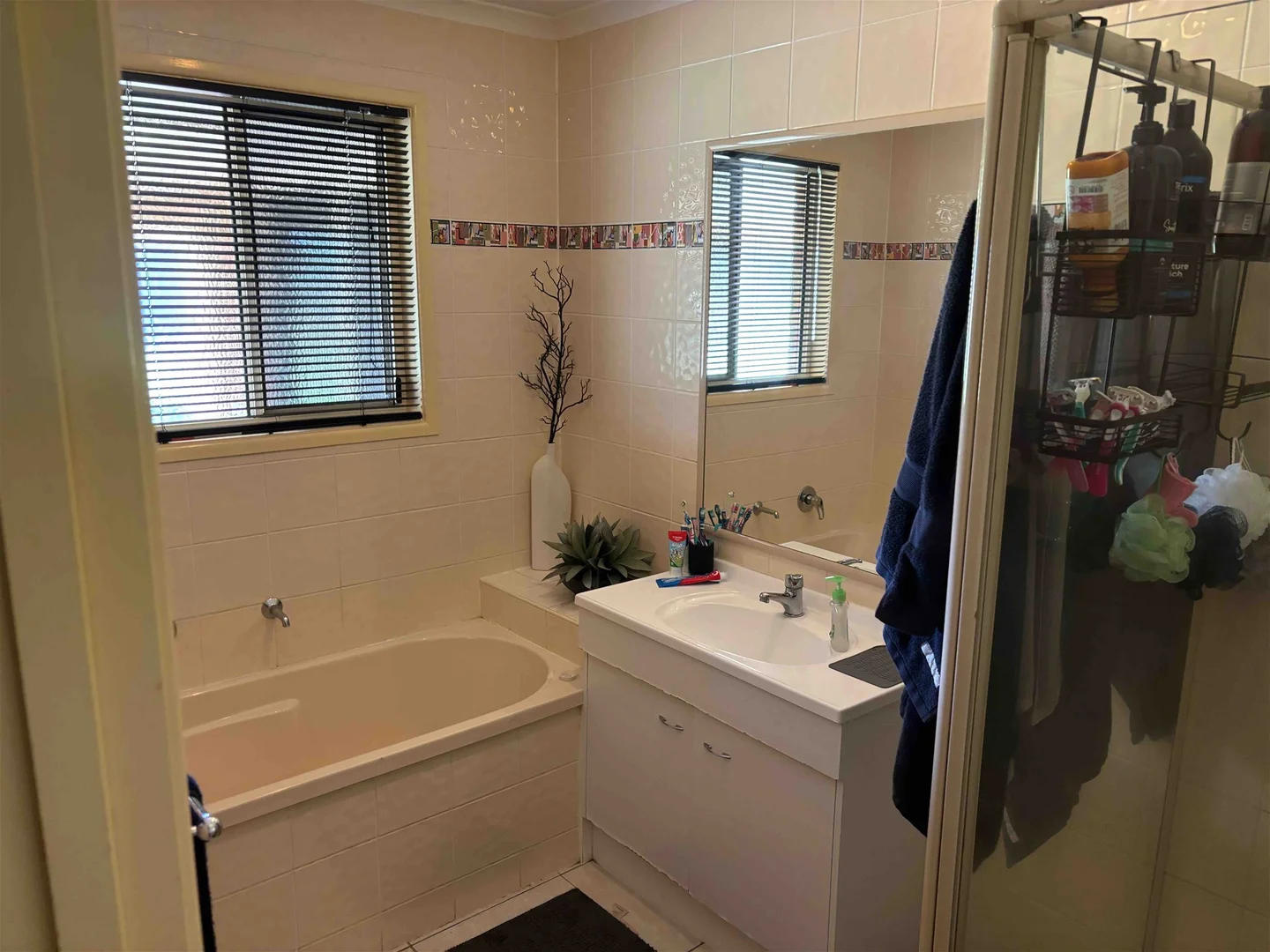 Additional image 8 of 43 Siratro Court, Veresdale QLD 4285